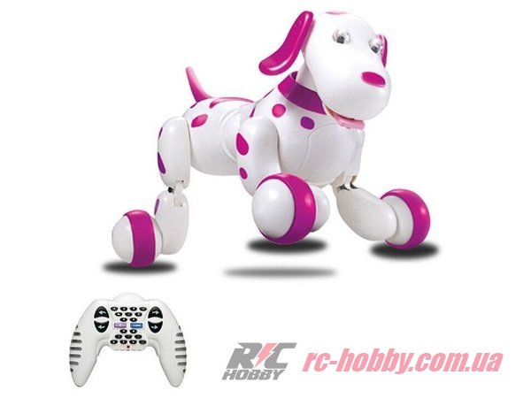 HC-777-338p_02-large