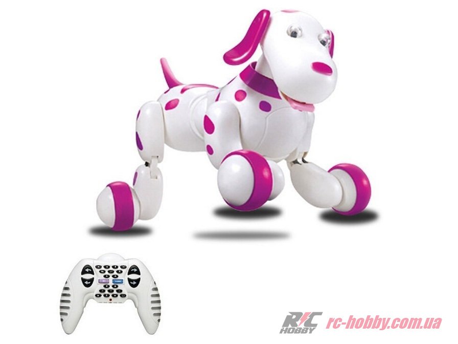 HC-777-338p_02-original