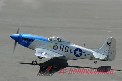 FMS016-3X Petie 2nd_5