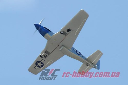 FMS016-3X Petie 2nd_7