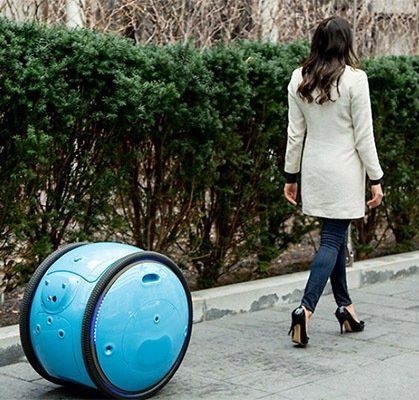 Послушный робот Gita поможет отнести покупки домой