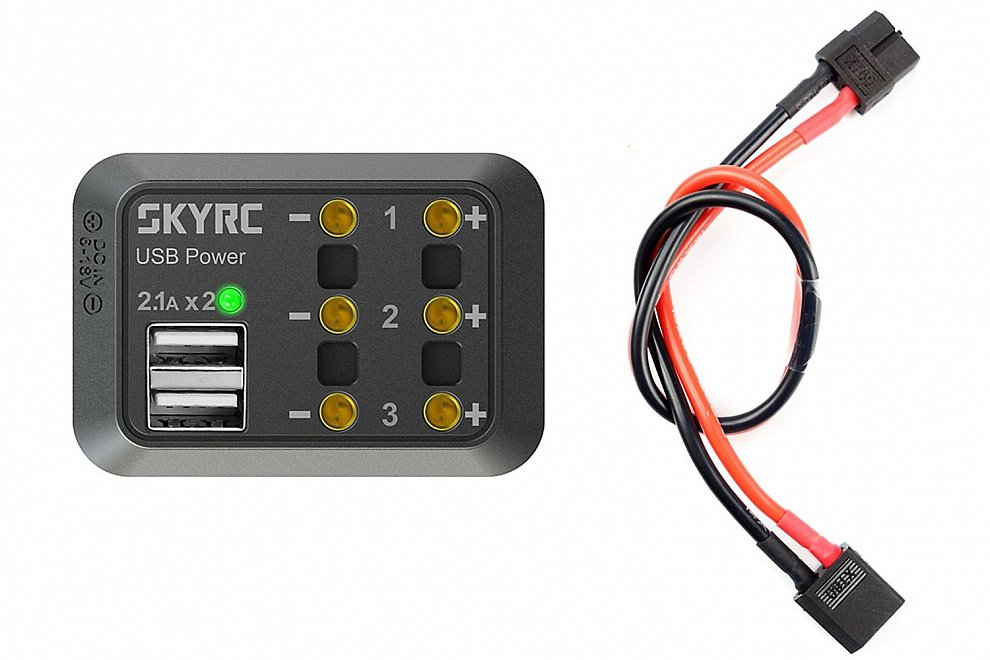 ������������ ������� SkyRC SK-600114-03 � USB (XT60)